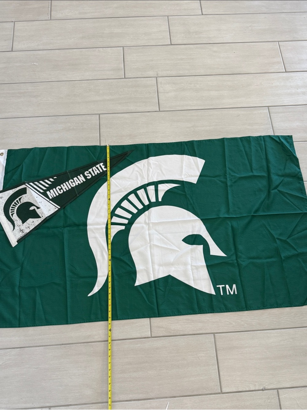 Michigan State flags
